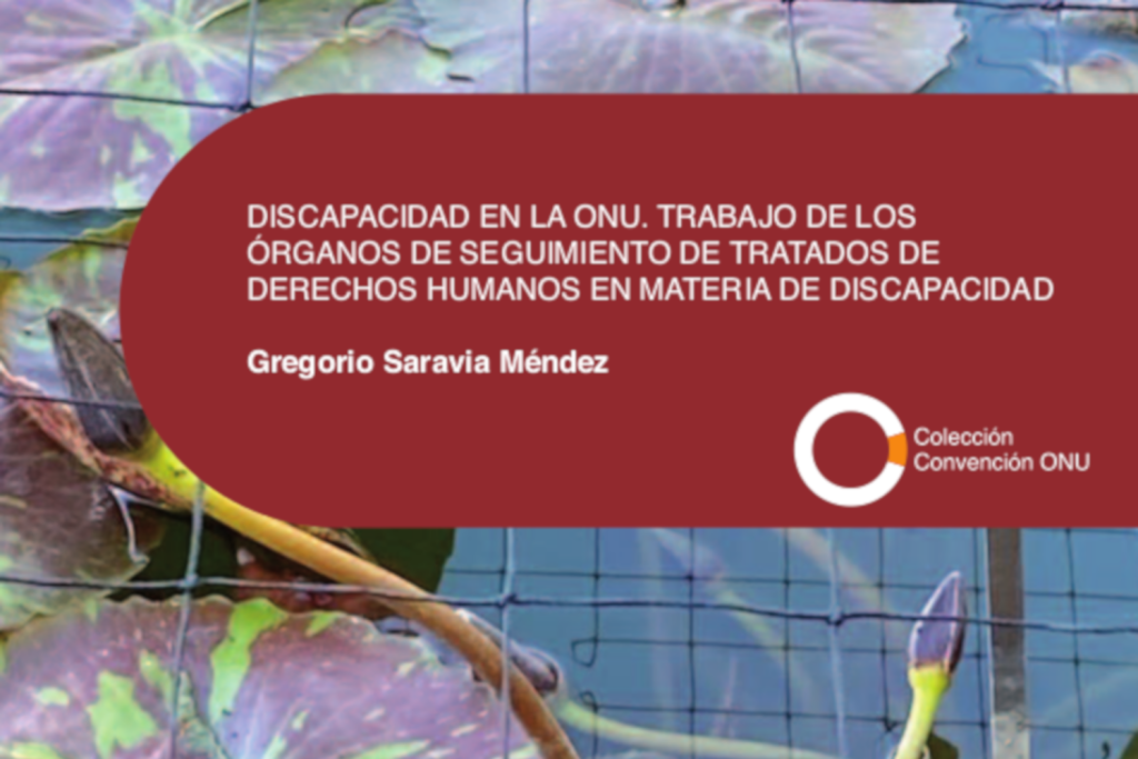 Portada informe "Discapacidad en la ONU. Trabajo de los órganos de seguimiento de tratados de derechos humanos en materia de discapacidad".